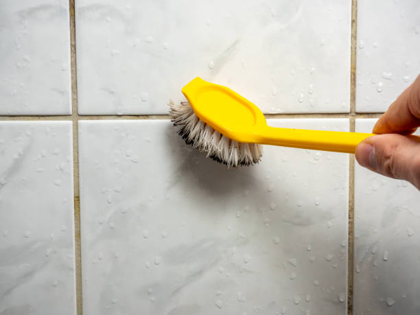 Best Mold Testing and Removal  in Port Vue, PA