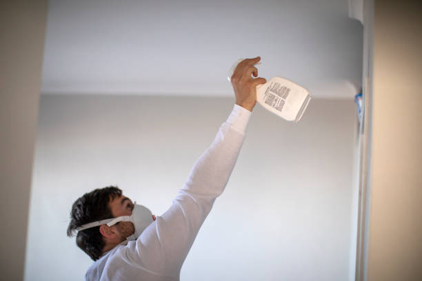 Best Mold Cleaning Services  in Port Vue, PA