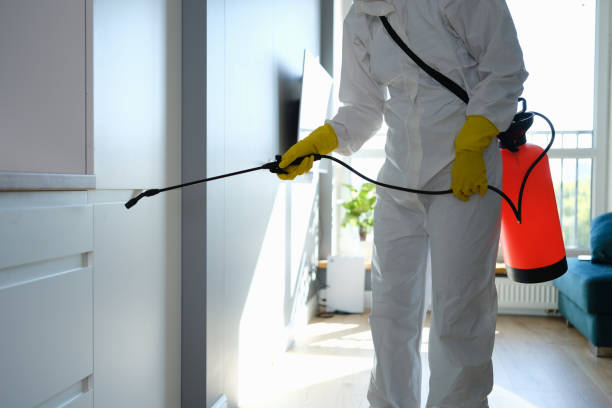Best Residential Mold Removal  in Port Vue, PA