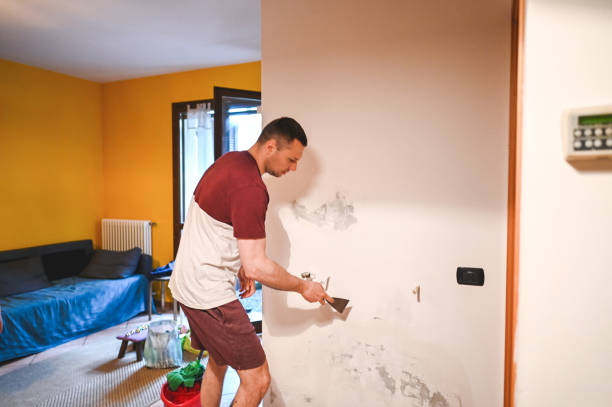 Best Toxic Mold Removal  in Port Vue, PA